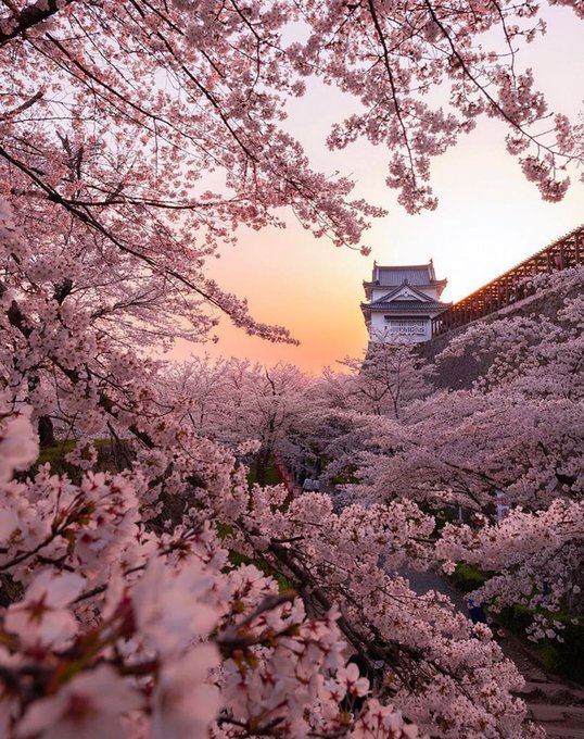 昼音楽鑑賞を続ける 🤏