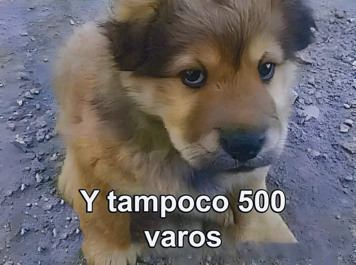 Guarromantico_'s tweet image. El de tránsito: “No trae placas joven”

Yo: