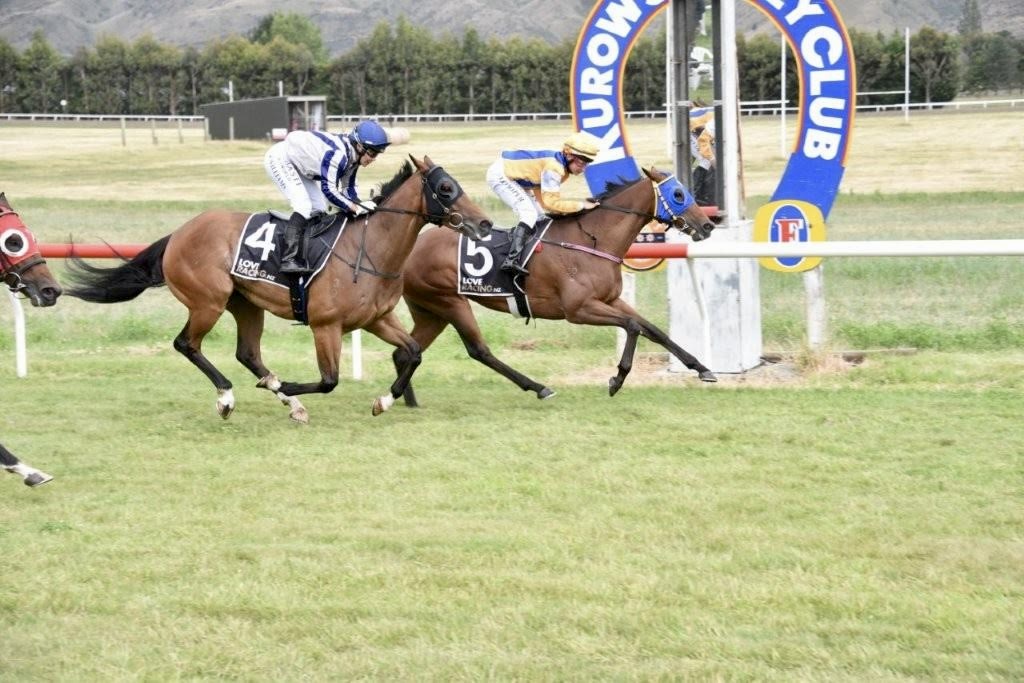 Clearview Park tweet media