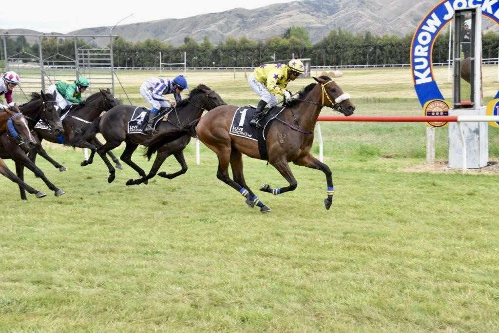 Clearview Park tweet media