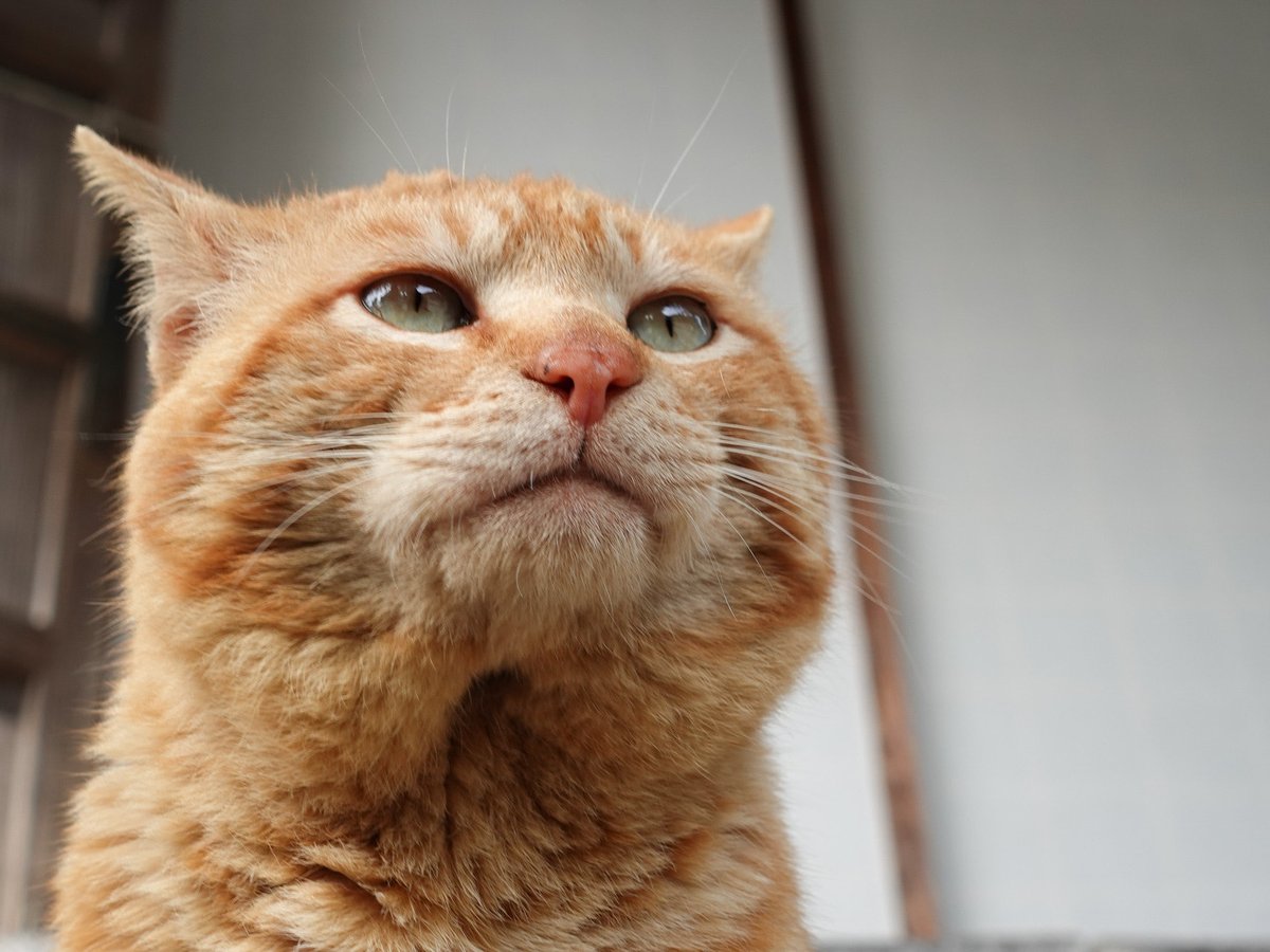 zx750 (@zx7505) / Posts / X