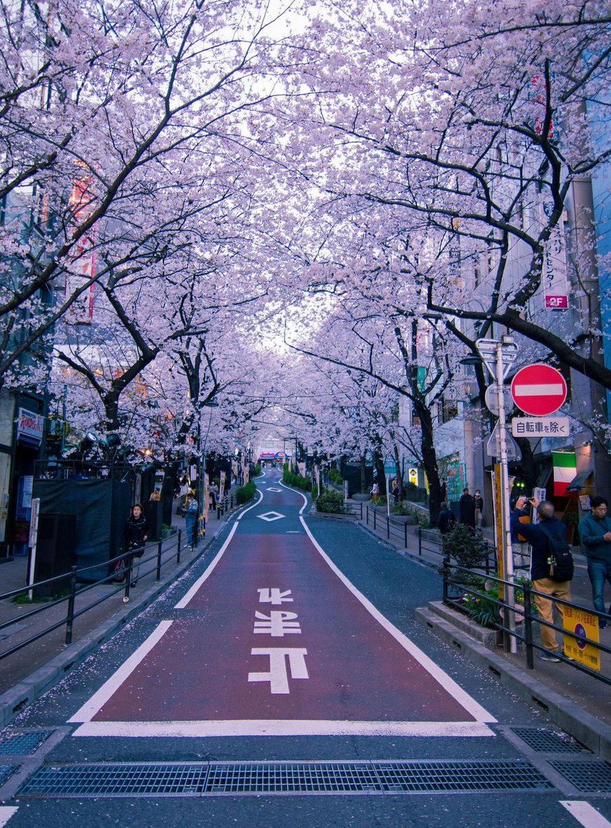 harryyeah's tweet image. 午前ドライブを再開する 😅