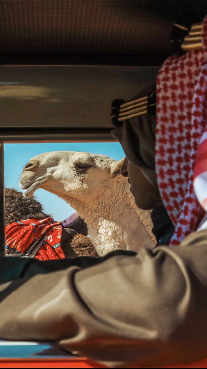 oo2vs's tweet photo. @Sahraachannel الجواب 

3 : القصواء 

#مجلس_الصياهد 
. 
. 
. 
.
.
. 
. 
. 
. 
. 
.. 
. 
. 
. 
. 
. 
. 
. 
. 
. 
. 
... 
. 

.
.
.
.
. #منقية_النائلات 

. 
. 
. 
. 
. 
. 
. 
. 
. 
. 
. 
. 
. 
. 
. 
. 
. 
. 
. 
. 
. 
. #مهرجان_الملك_عبدالعزيز_للإبل10 
. 
. 
. 
. 
. 
. 
. 
. 
#الصياهد https://t.co/lGnJzMnQ8t