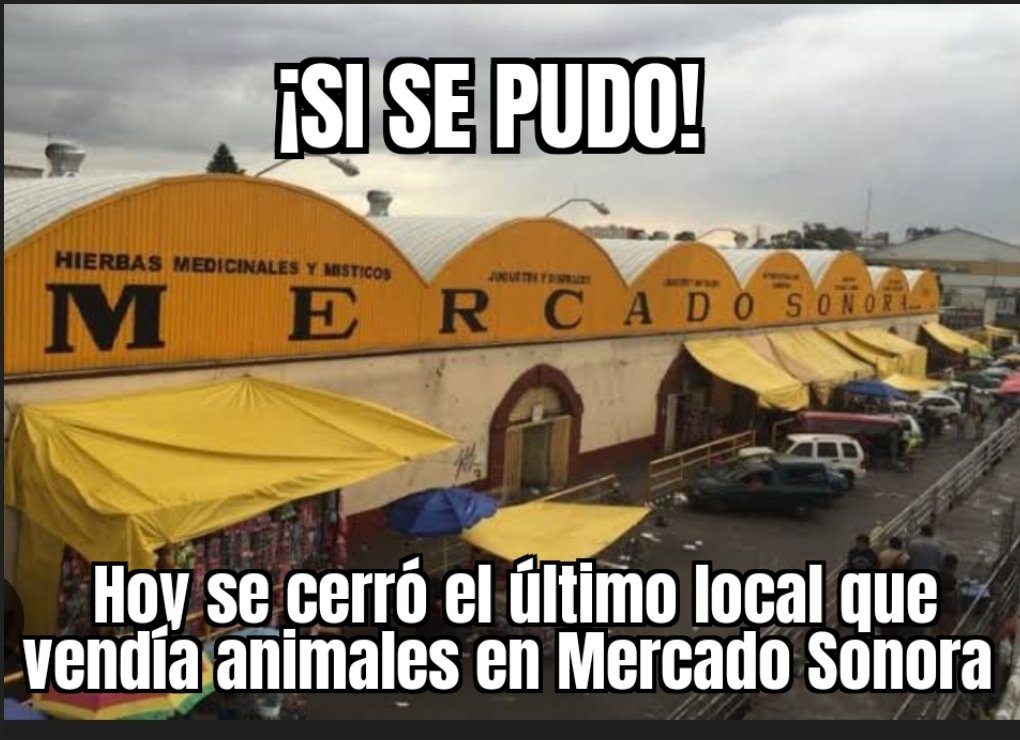 Frecda's tweet image. Hoy se cerró el último local que vendía animales en mercados Sonora. El trabajo que comenzamos en FRECDA desde 2018 dió resultado. CCP. @El_Universal_Mx @Milenio @Excelsior @lasillarota @ImagenTVMex @AztecaNoticias @nmasforo @Telemundo @telediario @lajornadaonline