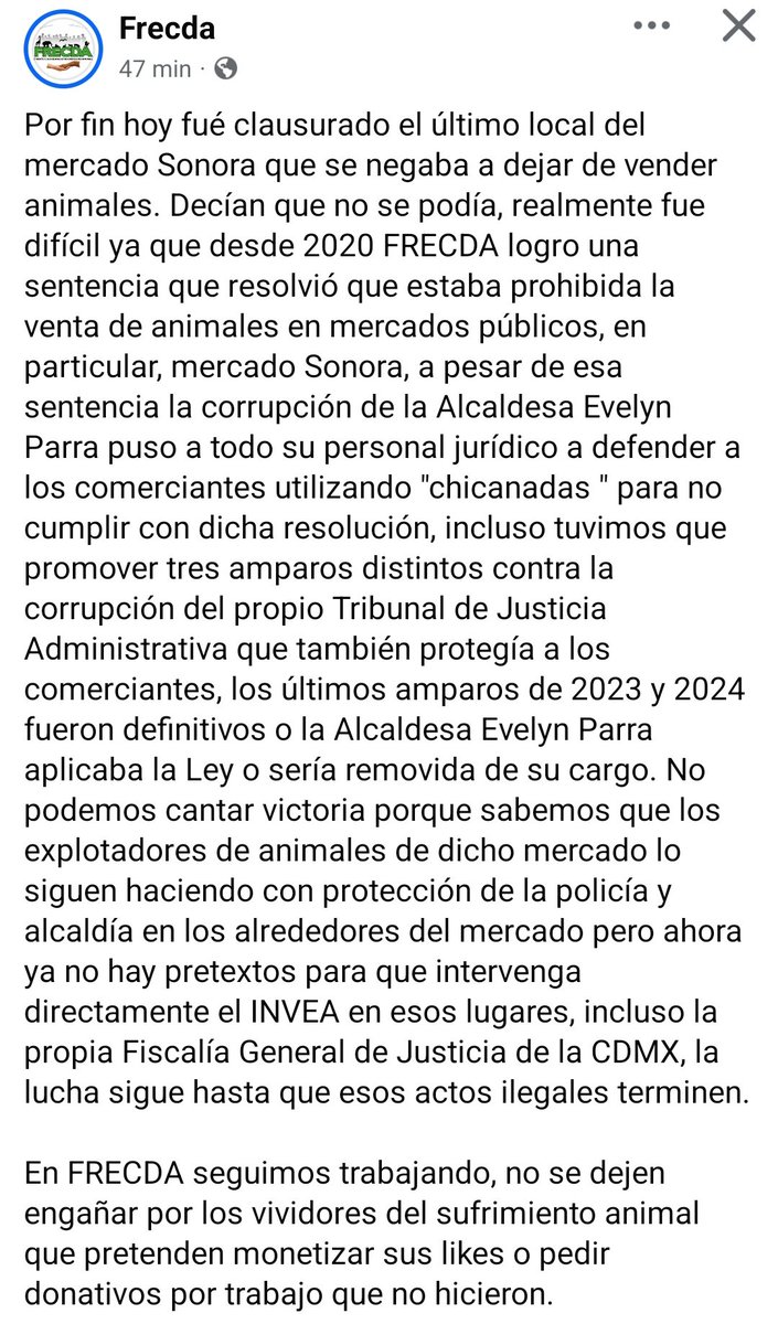 Frecda's tweet image. Hoy se cerró el último local que vendía animales en mercados Sonora. El trabajo que comenzamos en FRECDA desde 2018 dió resultado. CCP. @El_Universal_Mx @Milenio @Excelsior @lasillarota @ImagenTVMex @AztecaNoticias @nmasforo @Telemundo @telediario @lajornadaonline