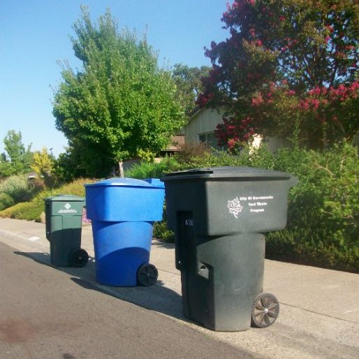 SacRecycle tweet media