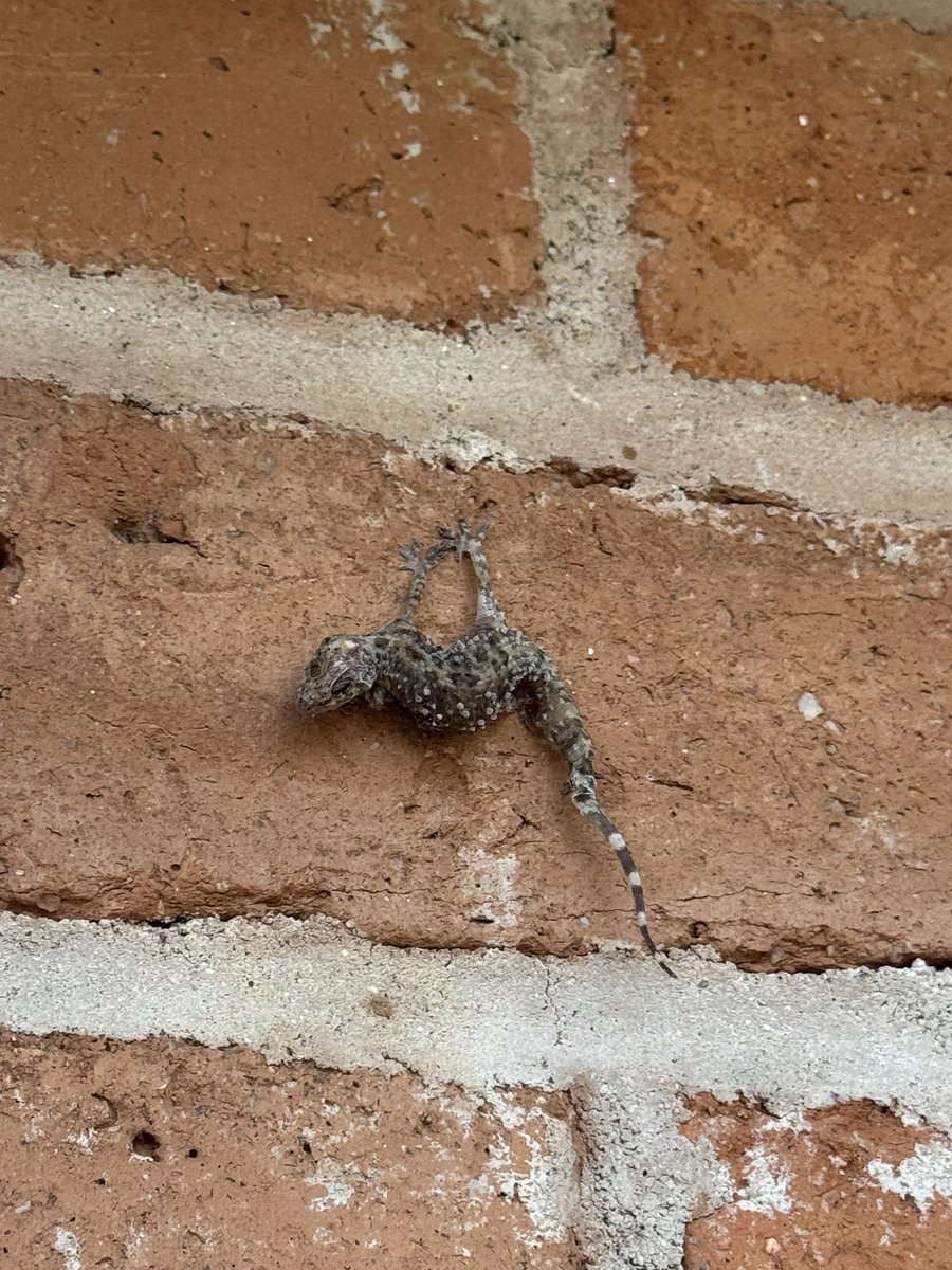 Jeremy Fairchild tweet media