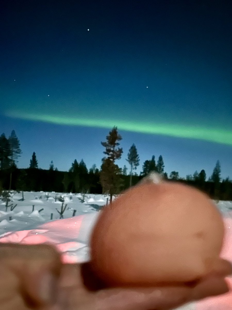 きらり、オーロラだよ
オーロラ、きらりだよ