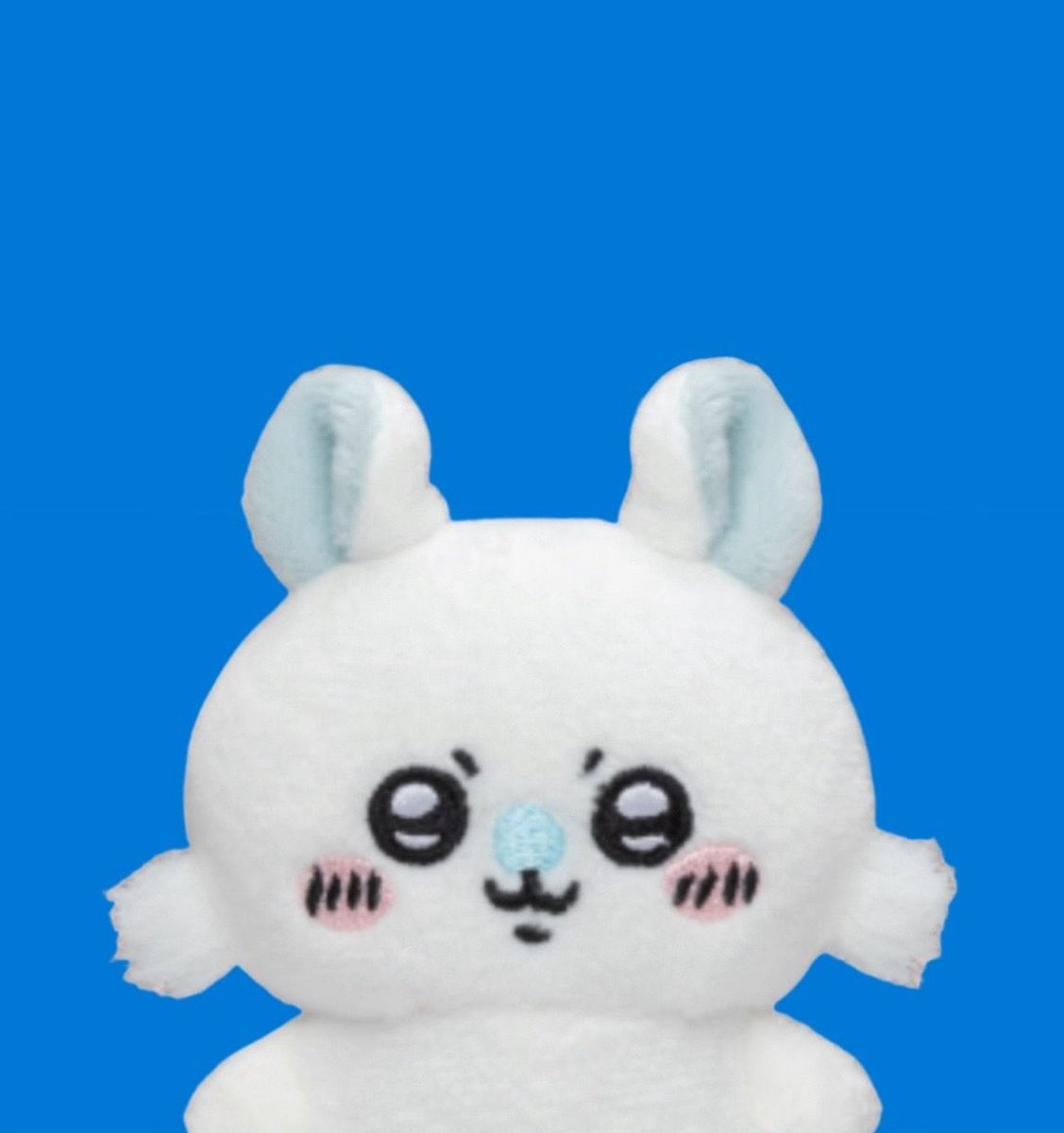 HSGP17's tweet image. 自転車は硬いです 🦴