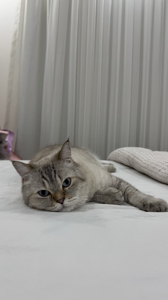 geceleri puffy yanıma geldiğinde ben