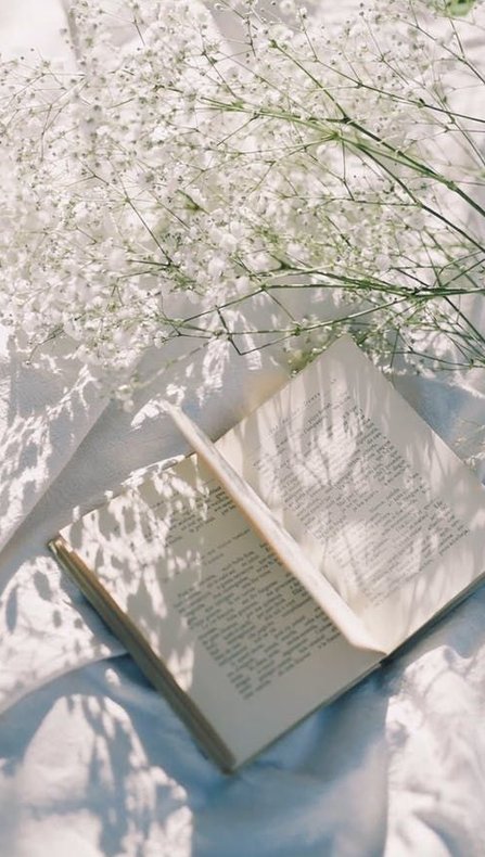 iscream32's tweet image. 鳥は誰？ 🦦