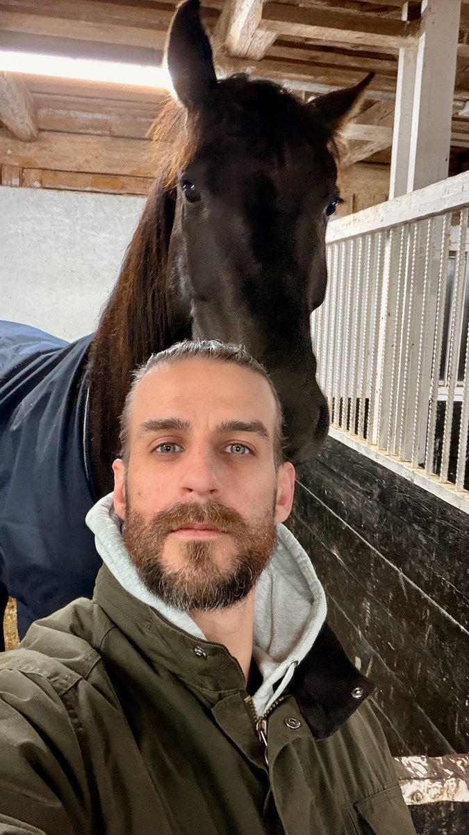 Det här är Eddie. Han är 2,5 år gammal och kommer i framtiden bli en ganska duglig dressyrhäst, förhoppningsvis.