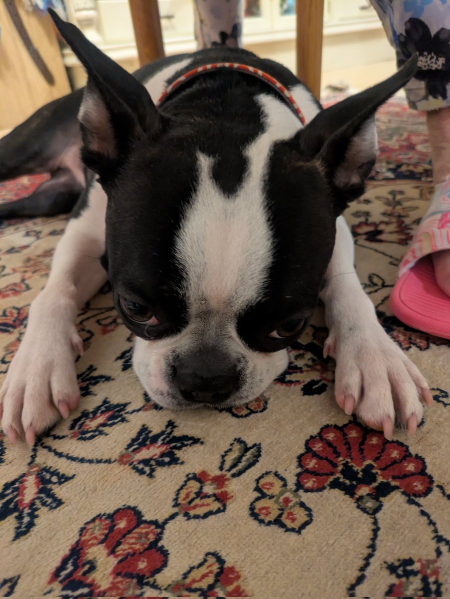 38tick's tweet image. べらぼう見終わったーーーーーーー