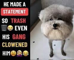 ItsEricIsOnFire's tweet photo. @RM_22017 @Ersin0X Dipshit of the year award goes to you https://t.co/8rp03CrqNf