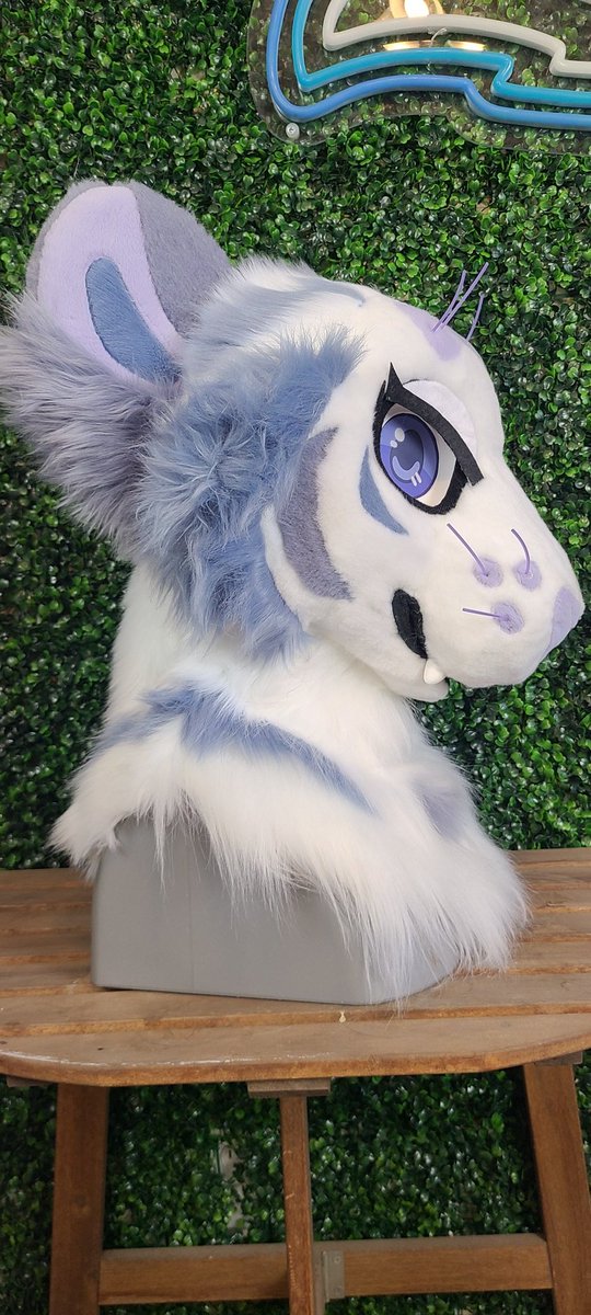 HeadsAndTailsAZ's tweet photo. meet Moon Dust 🌙 

She's all finished up and looking for a new home.

Will it be yours? https://t.co/X6xxtttWpX
