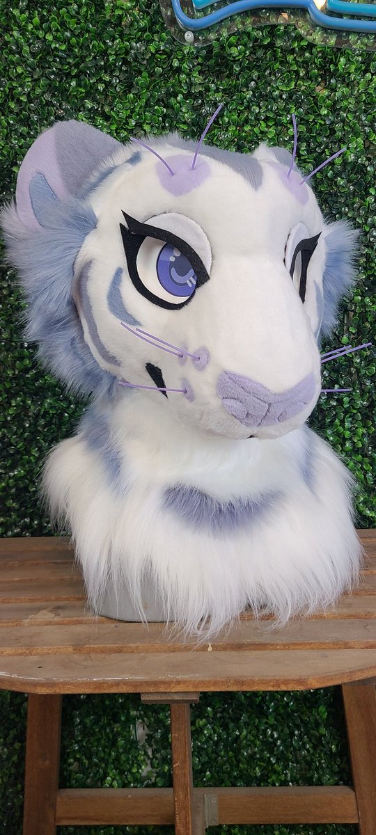 HeadsAndTailsAZ's tweet photo. meet Moon Dust 🌙 

She's all finished up and looking for a new home.

Will it be yours? https://t.co/X6xxtttWpX
