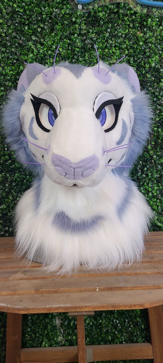 HeadsAndTailsAZ's tweet photo. meet Moon Dust 🌙 

She's all finished up and looking for a new home.

Will it be yours? https://t.co/X6xxtttWpX