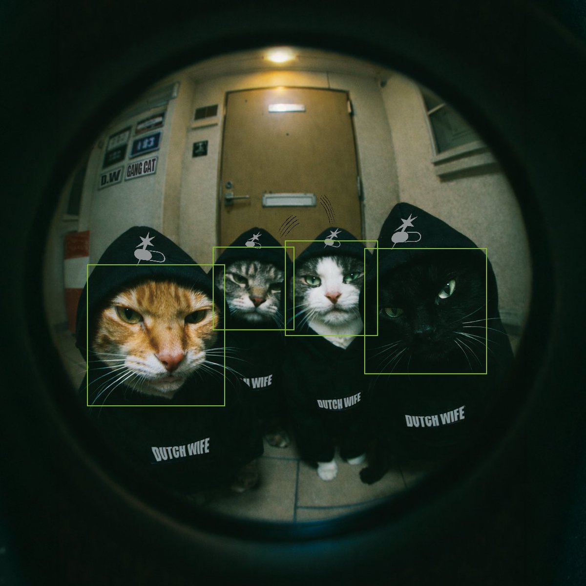 H0PD0G's tweet photo. 【CAT GANG】

  #GraphicDesigner  #グラフィティ #Graffiti #Photoshop2026 https://t.co/aYMeZxcxxu