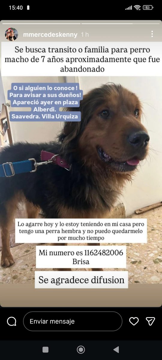 Compartimos en busca del dueño?