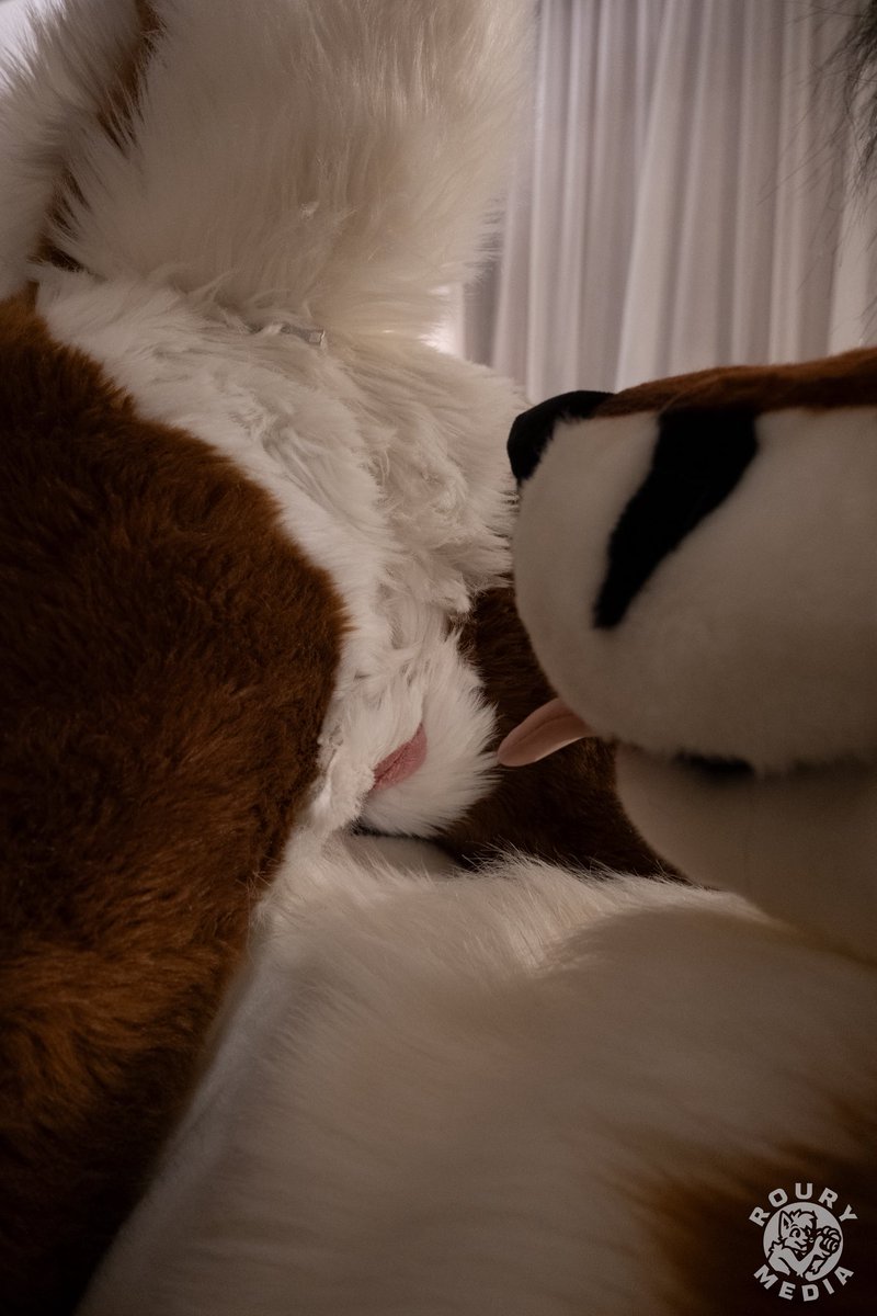 tekfoxafterdark tweet media