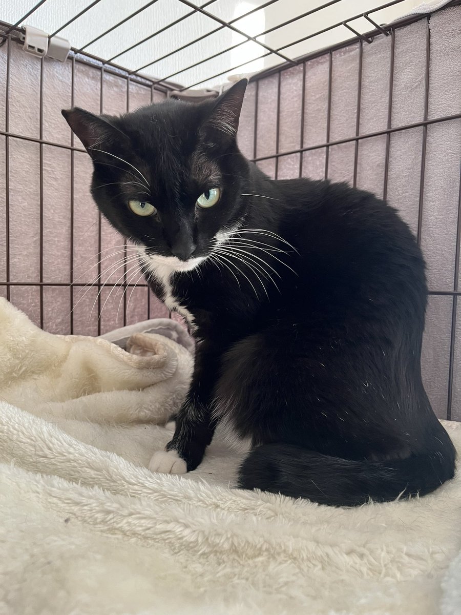 みるきー 訳あり Panasonic CF-FV1RDAVS / Core i5-1145G7 2.6GHz / 16GB/ SSD