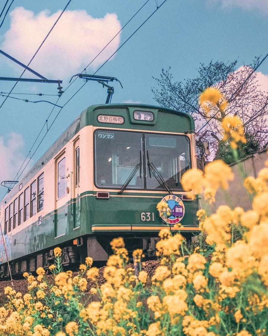つまらない時計 🐹