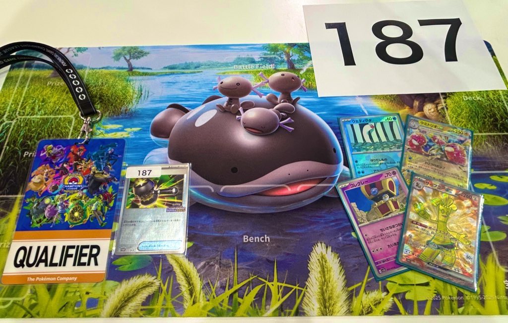 ちぇるしー（Chelsea）@ポケカ (@zard960love) / Posts / X