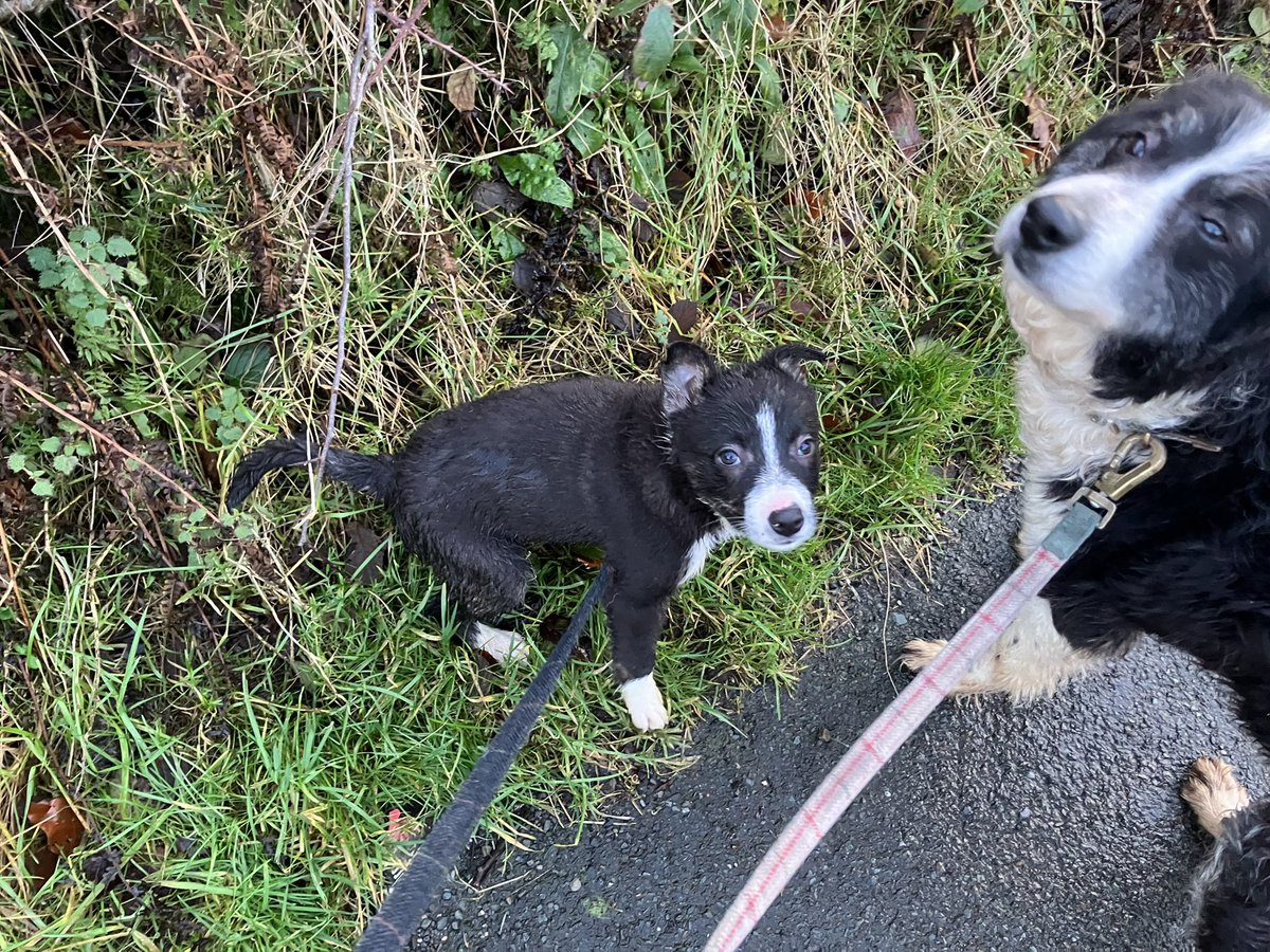 Andrea Meanwell tweet media