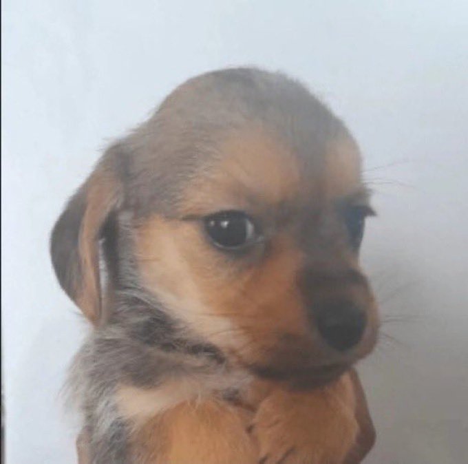 Hace dos meses estaban muy orgullosos diciendo que gastaban una millonada en sople y en fiestas, depronto ahí está la plata pa ajustarle a las señoras del aseo que les limpian el chiquero en el que viven, digo yo pues...