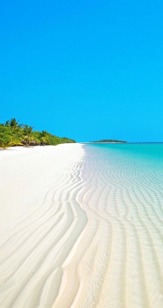 JasonEffect's tweet image. 家はいくつの？ 🐛