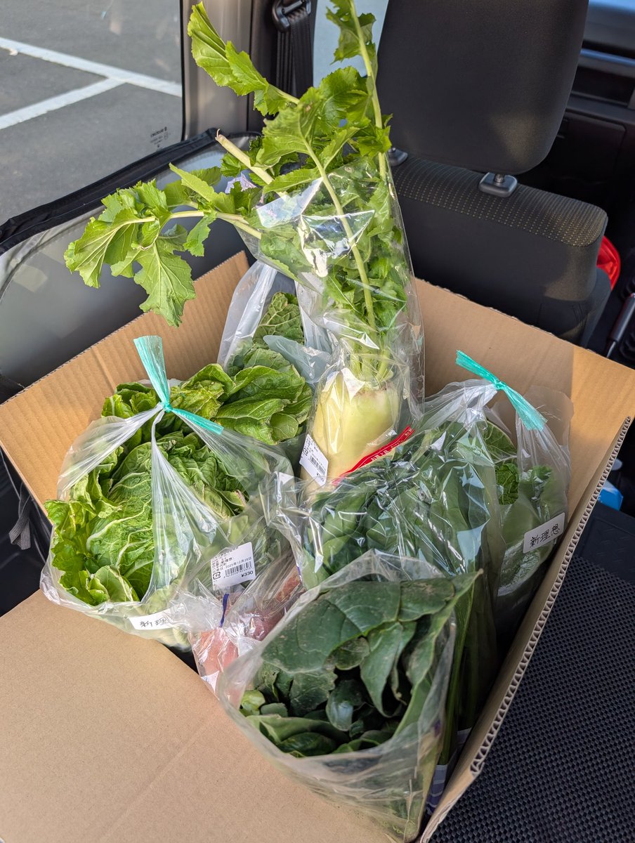 クーパーさま 12月22日 ラ・フェラーリ展示のお知らせ（TSD2025 in JMS） | 一般社団法人 日本