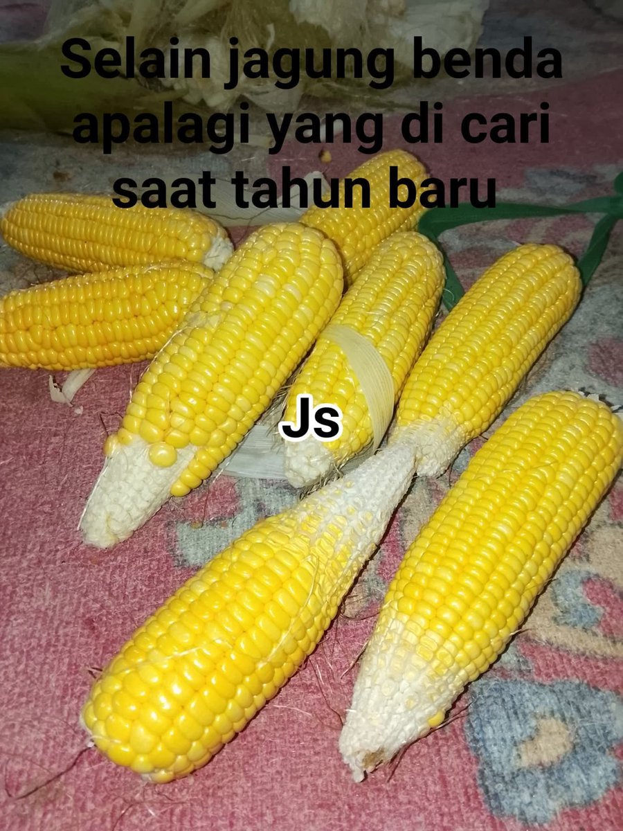 Ketawa itu GRATIS 🛩 tweet media