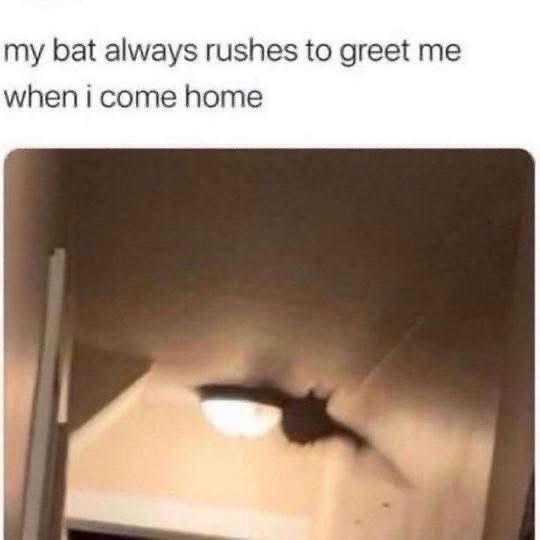 ⚔️🎀 𝔉𝔦𝔞𝔡𝔥 🎀⚔️ tweet media