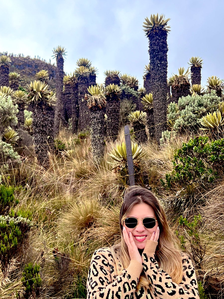 andrearojasn_'s tweet photo. La dicha de un corazón en paz 🤎🌸 https://t.co/ppuZ5FOgBc