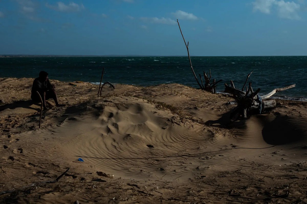 OSINTdefender tweet media