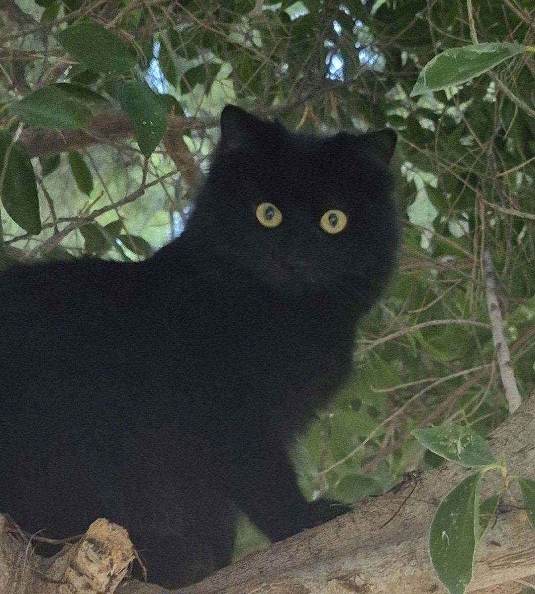 Aşırı orijinal bi tip kjkjk. Yalvarırım ona bu kış kapımızı açalım. 🙏🏼