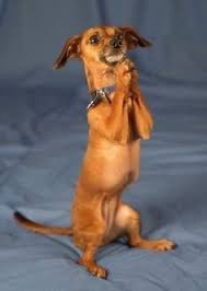 SGN | Biche tweet media