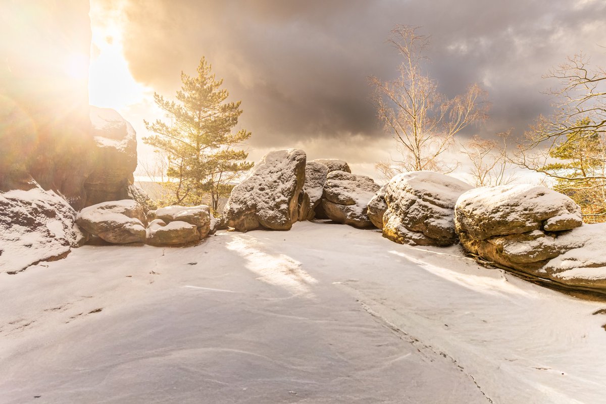 Ronny Weiß tweet media