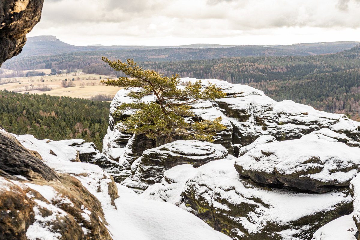 Ronny Weiß tweet media
