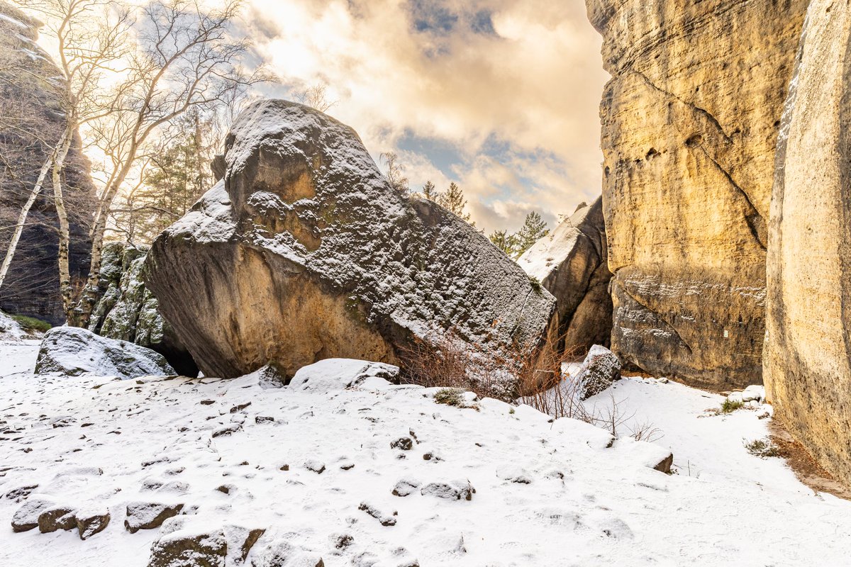 Ronny Weiß tweet media