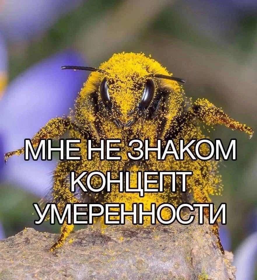 Свитр tweet media