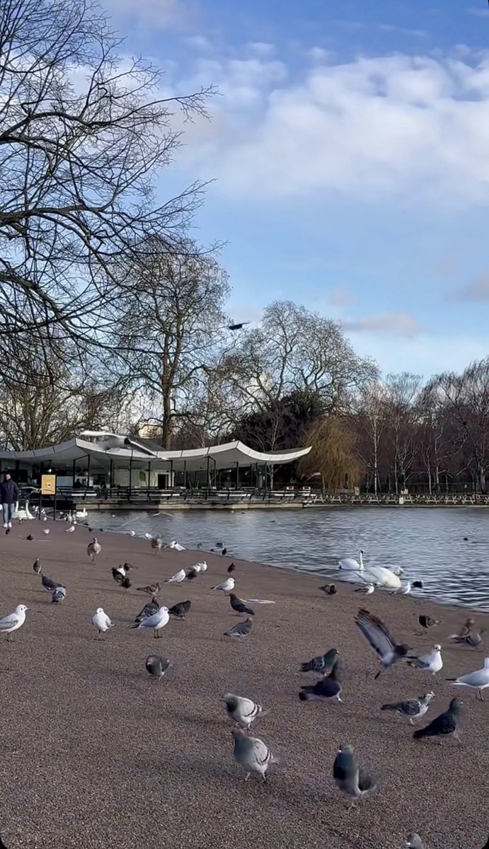 مشهد يبعث راحة في القلب 🤍