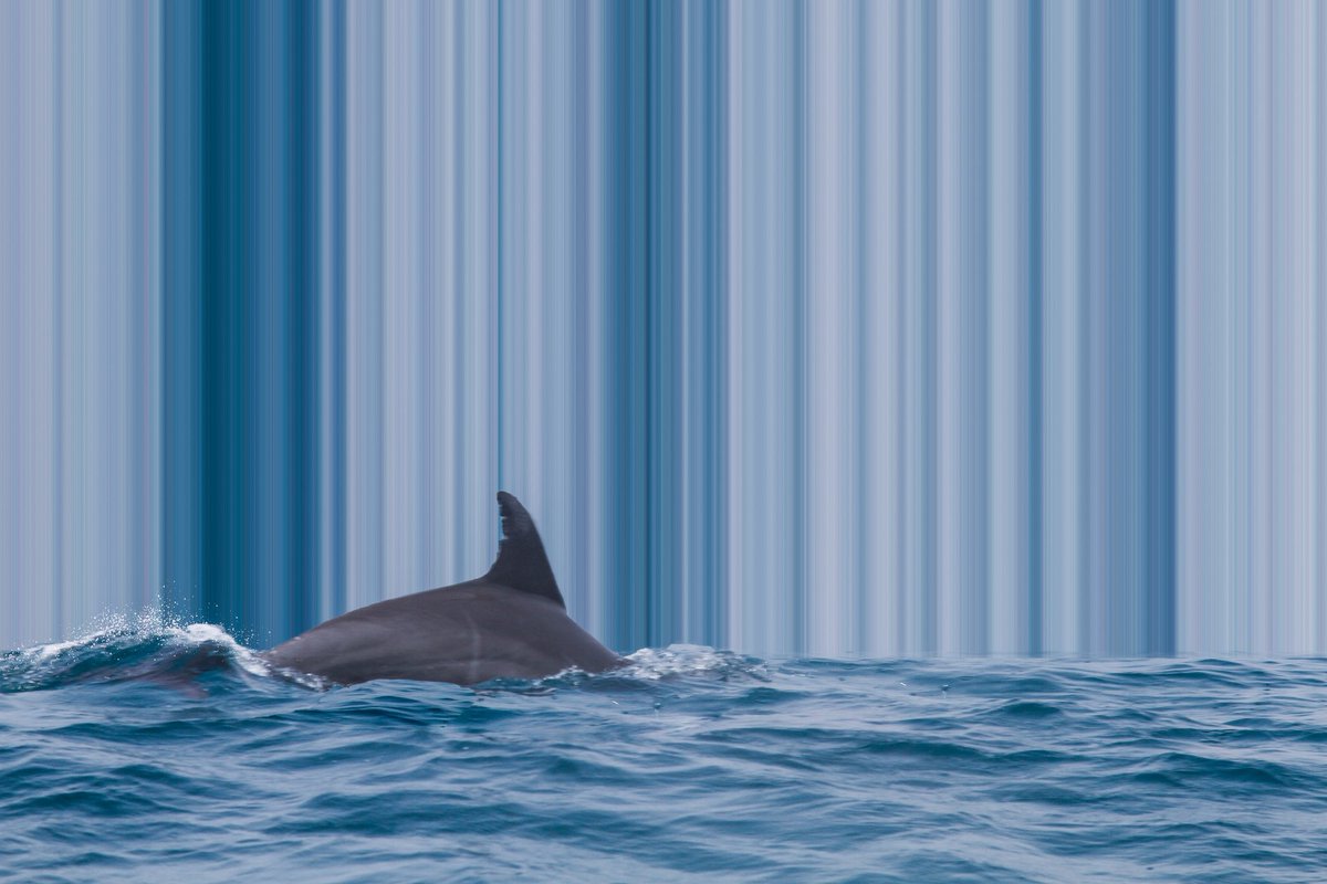 Exciting news this #TezosTuesday! 😍 

"Rising #503" has been collected by the wonderful <a href="/Tez2ndMarket/">SecondaryMarket.tez</a> <a href="/MiRetratito/">Mi Retratito</a> 😍
Thank you so much, fam! 😍❤️ it means a lot to me ❤️

objkt.com/users/tz2LNHYu…