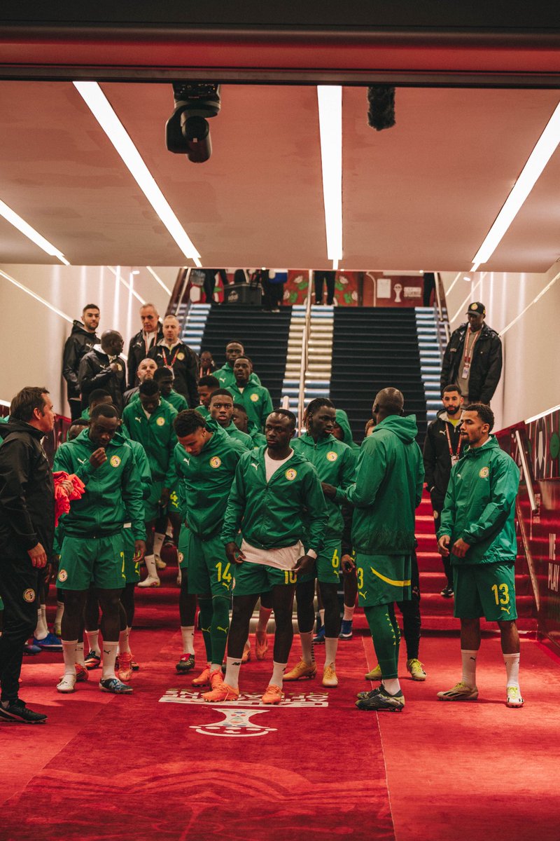 🇸🇳🦁📸