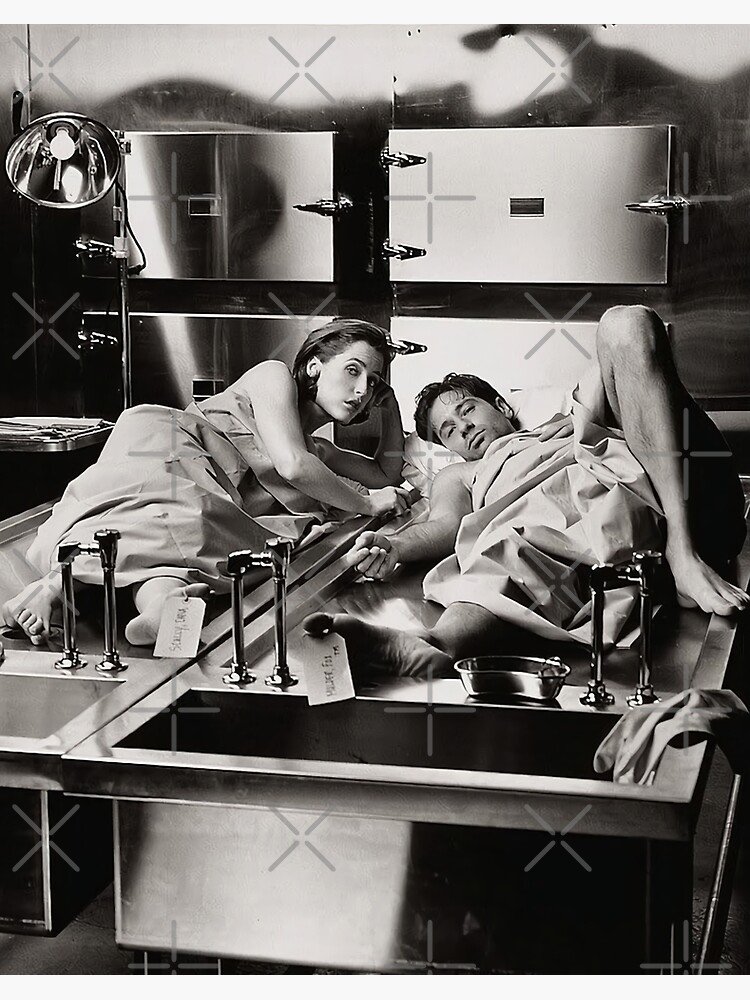 Georgia Knight tweet media