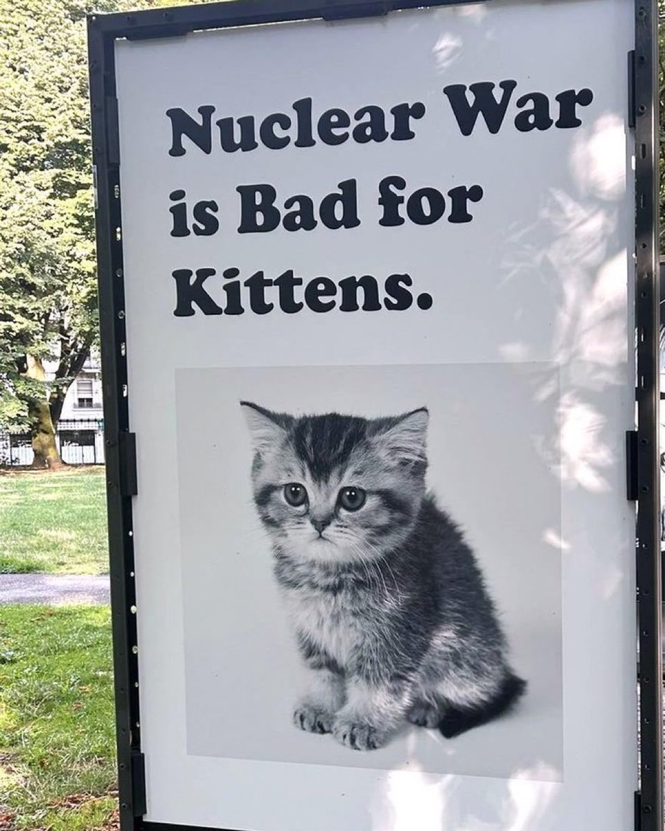 gatos fazendo gatices (@gatinarios) on Twitter photo 