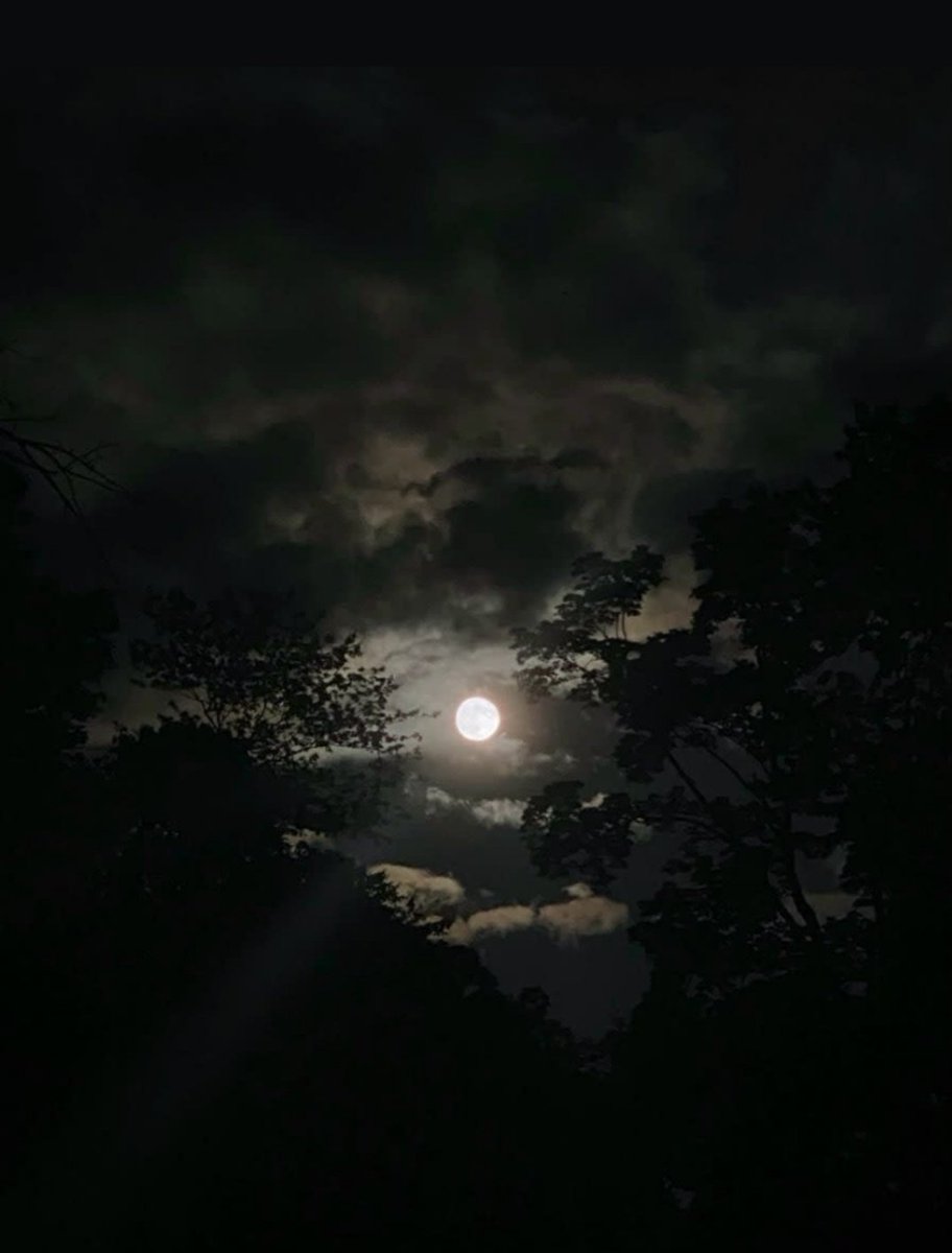 Emermuo's tweet image. GN warriors, rest is productive too