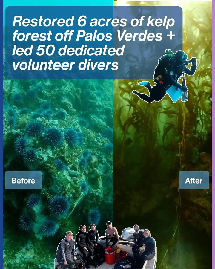 This year brought meaningful progress in ocean resilience, coastal adaptation, and community engagement made possible by your support. We hope these highlights inspire continued care for our bay, beaches, and watershed. Consider a donation santamonicabay.org/give/💙 Happy New Year