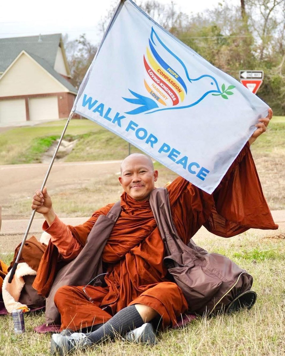 msjackjack2's tweet image. 