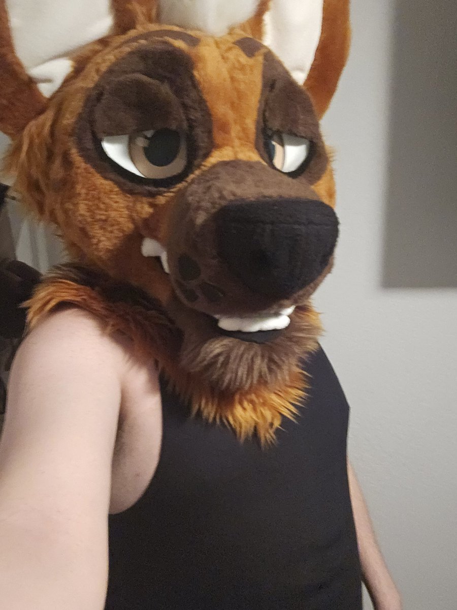 🌴Alek🌴 tweet media